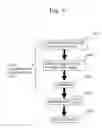 Fig. 07 - Pellicle film, pellicle frame, pellicle, and method for producing same