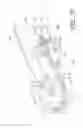 Fig. 43 - Process cartridge and image forming apparatus