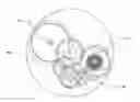 Fig. 01 - Crystalline Compounds for Use in Mechanical Watches and Methods of Manufacture Thereof