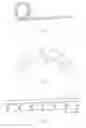 Fig. 02 - Flexible display device