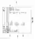Fig. 43 - Entertainment server and associated social networking services