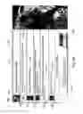Fig. 76 - Entertainment server and associated social networking services
