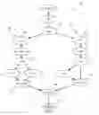 Fig. 01 - Symbolic execution of alternative branches