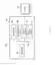 Fig. 02 - Storage class memory (SCM) memory mode cache system
