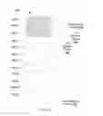 Fig. 08 - REPETITIVE ADDRESS INDIRECTION IN A MEMORY