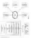Fig. 03 - Using hash signatures of DOM objects to identify website similarity