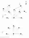 Fig. 08 - Relationship graph
