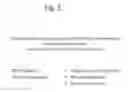 Fig. 06 - Authentication system and method