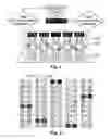 Fig. 02 - Keyboard For Strong Password Input