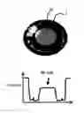 Fig. 01 - Electronic device and screen adjusting method based on condition of user's eye