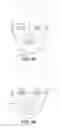 Fig. 07 - System and method for analyzing features of a human face using one or more overlay facial grids