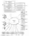Fig. 01 - System and method for aggregation, analysis, presentation and monetization of pricing data for vehicles and other commodities