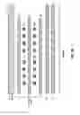 Fig. 09 - Filament confinement in reversible resistance-switching memory elements