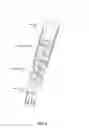 Fig. 05 - Helically insulated twinax cable systems and methods