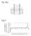 Fig. 08 - RADIALLY ANISOTROPIC SINTERED RING MAGNET AND ITS PRODUCTION METHOD