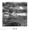 Fig. 07 - Ceramic composition and multilayer capacitor having the same