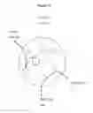 Fig. 02 - Methods of detecting reverse triiodothyronine by mass spectrometry