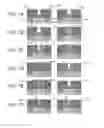 Fig. 08 - Method of manufacturing semiconductor device