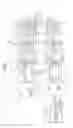 Fig. 02 - Semiconductor device and semiconductor apparatus