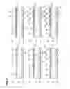 Fig. 06 - Semiconductor module