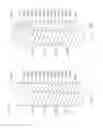 Fig. 05 - 3D cross-point memory manufacturing process having limited lithography steps