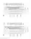 Fig. 12 - 3D cross-point memory manufacturing process having limited lithography steps