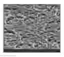 Fig. 01 - Thin film transistor array panel and manufacturing method of the same