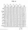 Fig. 18 - Display device