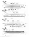 Fig. 09 - Organometallic complex, light-emitting element, light-emitting device, electronic device, and lighting device