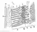 Fig. 01 - Separator including a polysulfide barrier layer for a battery cell, and battery cell