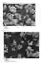 Fig. 02 - Method of producing positive electrode active material for nonaqueous electrolyte secondary battery