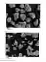 Fig. 02 - Positive electrode active material for nonaqueous electrolyte secondary battery