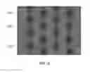Fig. 09 - High solids content paste formulations for secondary battery electrode