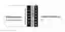 Fig. 01 - An electrolyte membrane for use in an electrochemical cell
