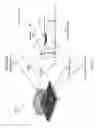Fig. 02 - Oven controlled crystal oscillator device cover