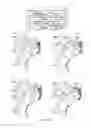 Fig. 28 - Flexible beamforming for satellite communications