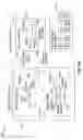 Fig. 06 - Reduction of unmodulated ambient blockers in reflected data links through manipulation or replication of the transmitting signal source