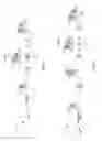 Fig. 02 - Aliasing enhanced OFDM communications