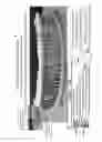 Fig. 02 - MULTISPECTRAL EYEWEAR DEVICE