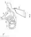 Fig. 03 - ANAGLYPH HEAD MOUNTED DISPLAY
