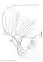 Fig. 06 - ANAGLYPH HEAD MOUNTED DISPLAY