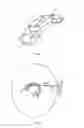 Fig. 02 - Method for operating a hearing system as well as a hearing system