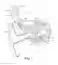 Fig. 02 - Pre-load feedback of a middle-ear coupler