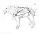 Fig. 01 - Restraint assembly for an animal