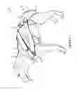 Fig. 02 - Restraint assembly for an animal