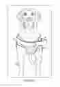 Fig. 03 - Restraint assembly for an animal