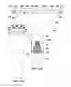 Fig. 11 - STAGING SURFACE FLYING INSECT TRAP