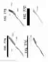 Fig. 85 - Sensor connections