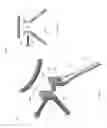 Fig. 06 - METHOD AND DEVICE FOR RESTABILIZATION WITH AXIAL ROTATION OF THE ATLANTOAXIAL JUNCTION