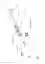 Fig. 02 - Electrosurgical device with vacuum port